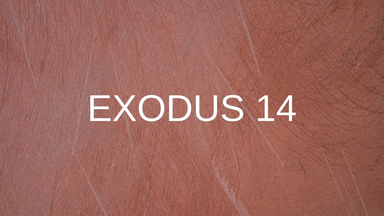 The Book of Exodus: Chapter 14